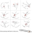 ARMONY - ELK VIBRATOR RABBIT CURVED RED ARMONY - ELK VIBRATOR RABBIT CURVED RED