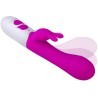 ARMONY - VIBRATEUR HAPPY and STIMULATEUR DE LAPIN VIOLET