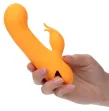 CALEXOTICS - MONTECITO MUSE VIBRATEUR LAPIN ORANGE PAR CALIFORNIA DREAMING CALEXOTICS - MONTECITO MUSE VIBRATEUR LAPIN ORANGE PAR CALIFORNIA DREAMING