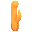 CALEXOTICS - MONTECITO MUSE VIBRADOR RABBIT NARANJA BY CALIFORNIA DREAMING CALEXOTICS - MONTECITO MUSE VIBRADOR RABBIT NARANJA BY CALIFORNIA DREAMING