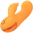 CALEXOTICS - MONTECITO MUSE VIBRATOR RABBIT ORANGE VON CALIFORNIA DREAMING CALEXOTICS - MONTECITO MUSE VIBRATOR RABBIT ORANGE VON CALIFORNIA DREAMING
