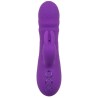 CALEXOTICS - MANHATTAN BEACH MARVEL VIBRATORE RABBIT VIOLA DI CALIFORNIA DREAMING