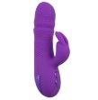 CALEXOTICS - MANHATTAN BEACH MARVEL VIBRATORE RABBIT VIOLA DI CALIFORNIA DREAMING CALEXOTICS - MANHATTAN BEACH MARVEL VIBRATORE RABBIT VIOLA DI CALIFORNIA DREAMING
