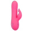 CALEXOTICS - SACRAMENTO SWEETIE VIBRATOR RABBIT PINK BY CALIFORNIA DREAMING CALEXOTICS - SACRAMENTO SWEETIE VIBRATOR RABBIT PINK BY CALIFORNIA DREAMING
