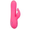 CALEXOTICS - SACRAMENTO SWEETIE VIBRATOR RABBIT PINK VON CALIFORNIA DREAMING
