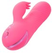 CALEXOTICS - SACRAMENTO SWEETIE VIBRATOR RABBIT PINK VON CALIFORNIA DREAMING CALEXOTICS - SACRAMENTO SWEETIE VIBRATOR RABBIT PINK VON CALIFORNIA DREAMING