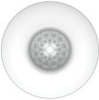 PRETTY LOVE - MASTURBATEUR HOMME BLANC DOEUF MODÈLE 2 PRETTY LOVE - MASTURBATEUR HOMME BLANC DOEUF MODÈLE 2
