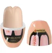 PRETTY LOVE - CATHERINE MASTURBADOR MASCULINO NATURAL PRETTY LOVE - CATHERINE MASTURBADOR MASCULINO NATURAL