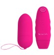 B SWISH - BNAUGHTY UNLEASHED KLASSISCHE ROSA FERNBEDIENUNG B SWISH - BNAUGHTY UNLEASHED KLASSISCHE ROSA FERNBEDIENUNG