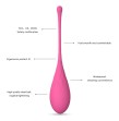LESLIE - SET PER ALLENAMENTO MUSCOLI PELVICI KEGEL FIT 6 PEZZI LESLIE - SET PER ALLENAMENTO MUSCOLI PELVICI KEGEL FIT 6 PEZZI