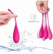 LESLIE - KEGEL FIT ENSEMBLE DENTRAÎNEMENT MUSCULAIRE PELVIEN 6 PCS LESLIE - KEGEL FIT ENSEMBLE DENTRAÎNEMENT MUSCULAIRE PELVIEN 6 PCS