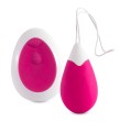 INTENSE - VIBRATEUR JAN EGG TÉLÉCOMMANDE ROSE INTENSE - VIBRATEUR JAN EGG TÉLÉCOMMANDE ROSE