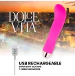 DOLCE VITA - RECHARGEABLE VIBRATOR TWO PINK 7 SPEEDS DOLCE VITA - RECHARGEABLE VIBRATOR TWO PINK 7 SPEEDS