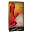 CALEXOTICS - PALISADES PASSION ROT CALEXOTICS - PALISADES PASSION ROT