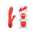 CALEXOTICS - PALISADES ROSSO PASSIONE CALEXOTICS - PALISADES ROSSO PASSIONE