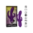 CALEXOTICS - LONG BEACH BOOTYLICIOUS VIOLA CALEXOTICS - LONG BEACH BOOTYLICIOUS VIOLA