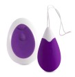 INTENSE - OEUF VIBRANT TÉLÉCOMMANDE JAN LILAS