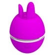 PRETTY LOVE - VIBRATEUR ROND EN SILICONE GEMINI BALL VIOLET PRETTY LOVE - VIBRATEUR ROND EN SILICONE GEMINI BALL VIOLET