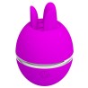 PRETTY LOVE - GEMINI BALL PURPLE ROUND SILICONE VIBRATOR