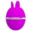 PRETTY LOVE - VIBRADOR DE SILICONA REDONDO GEMINI BALL MORADO PRETTY LOVE - VIBRADOR DE SILICONA REDONDO GEMINI BALL MORADO