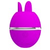 PRETTY LOVE - VIBRATEUR ROND EN SILICONE GEMINI BALL VIOLET