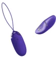 PRETTY LOVE - BERGER YOUTH VIOLATING EGG REMOTE CONTROL VIOLET PRETTY LOVE - BERGER YOUTH VIOLATING EGG REMOTE CONTROL VIOLET
