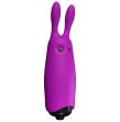 ADRIEN LASTIC - VIBRATEUR LAPIN VIOLET DE POCHE LASTIC ADRIEN LASTIC - VIBRATEUR LAPIN VIOLET DE POCHE LASTIC