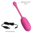 PRETTY LOVE - OEUF VIBRANT RECHARGEABLE CATALINA ROSE APP PRETTY LOVE - OEUF VIBRANT RECHARGEABLE CATALINA ROSE APP