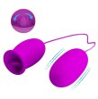 PRETTY LOVE - DAISY DUAL EGG RECHARGEABLE VIBRATOR PURPLE PRETTY LOVE - DAISY DUAL EGG RECHARGEABLE VIBRATOR PURPLE
