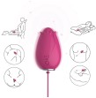 ARMONY - MANDALA EIVIBRATOR G-SPOT FERNBEDIENUNG FUCHSIA ARMONY - MANDALA EIVIBRATOR G-SPOT FERNBEDIENUNG FUCHSIA