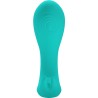 PRETTY LOVE - IDABELLE VIBRATION and PULSATION FERNBEDIENUNG BLAU