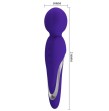 PRETTY LOVE - WALTER VIBRATOR STAB LILA PRETTY LOVE - WALTER VIBRATOR STAB LILA