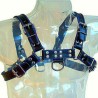 LEATHER BODY - IMBRACATURA IN PELLE BLU E NERA PER BULLDOG