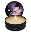 SHUNGA - CANDELA DA MASSAGGIO MINI CARESS BY CANDELIGHT AI FRUTTA ESOTICA 30 ML SHUNGA - CANDELA DA MASSAGGIO MINI CARESS BY CANDELIGHT AI FRUTTA ESOTICA 30 ML