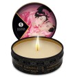 SHUNGA - BOUGIE DE MASSAGE MINI CARESS BY CANDELIGHT ROSES 30 ML SHUNGA - BOUGIE DE MASSAGE MINI CARESS BY CANDELIGHT ROSES 30 ML