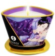 SHUNGA - MINI CARESSE AUX CHANDELLES BOUGIE DE MASSAGE FRUITS EXOTIQUES 170 ML SHUNGA - MINI CARESSE AUX CHANDELLES BOUGIE DE MASSAGE FRUITS EXOTIQUES 170 ML