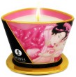 SHUNGA - MINI CARESS BY CANDELIGHT APHRODISIAC ROSES MASSAGEKERZE 170 ML SHUNGA - MINI CARESS BY CANDELIGHT APHRODISIAC ROSES MASSAGEKERZE 170 ML