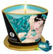 SHUNGA - BOUGIE DE MASSAGE FLEURS DES ÎLES 170 ML SHUNGA - BOUGIE DE MASSAGE FLEURS DES ÎLES 170 ML
