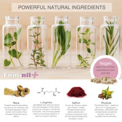 500 COSMETICS - FEMINIL AMÉLIORATION DE LA LIBIDO SEXUELLE FÉMININE - 30 CAPSULES