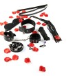 TOYJOY - NUR FÜR SIE BDSM-STARTER-KIT TOYJOY - NUR FÜR SIE BDSM-STARTER-KIT