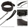 CALEXOTICS - NOCTURNAL HALSBAND and LEINE LEDER VERSTELLBAR SCHWARZ