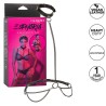 CALEXOTICS - EUPHORIA CHAIN HALTER COLLAR and LEASH