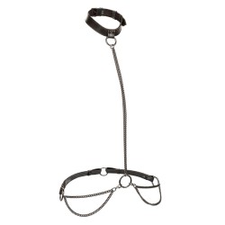 CALEXOTICS - EUPHORIA CHAIN HALTER COLLAR and LEASH