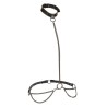 CALEXOTICS - EUPHORIA CHAIN HALTER COLLAR and LEASH