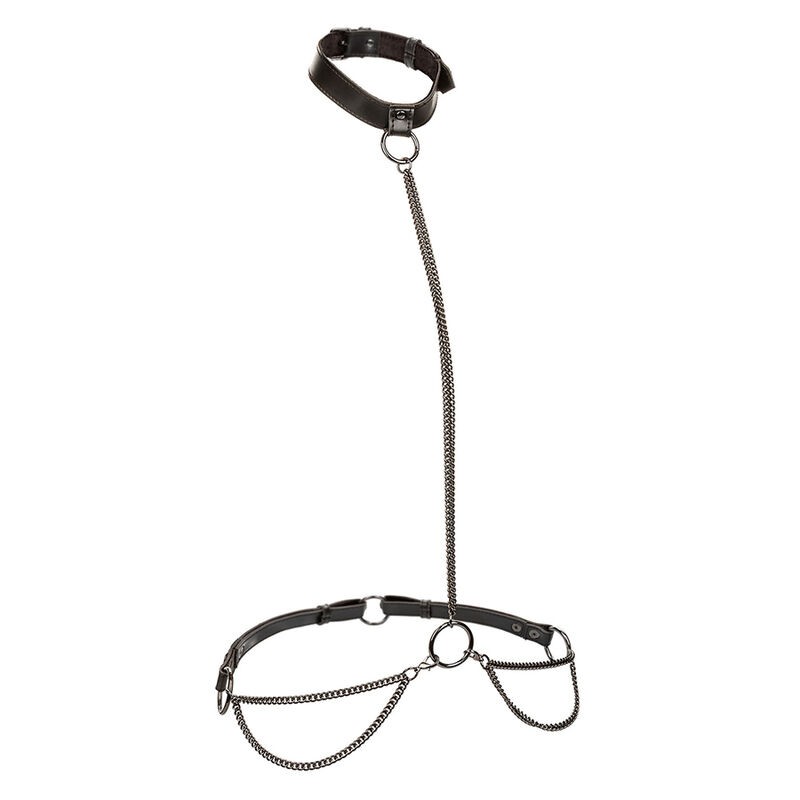 CALEXOTICS - EUPHORIA CHAIN HALTER COLLAR and LEASH PLUS SIZE