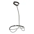 CALEXOTICS - EUPHORIA COLLAR HALTER Y CORREA CON CADENA TALLA PLUS CALEXOTICS - EUPHORIA COLLAR HALTER Y CORREA CON CADENA TALLA PLUS