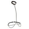 CALEXOTICS - EUPHORIA CHAIN HALTER COLLAR and LEASH PLUS SIZE