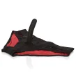 CALEXOTICS - SCANDAL SET OF RED PANTIES WITH DILDO SIZE L-XL CALEXOTICS - SCANDAL SET OF RED PANTIES WITH DILDO SIZE L-XL