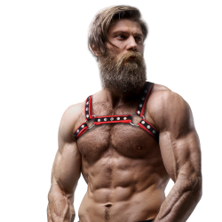 FETISH SUBMISSIVE ATTITUDE - BRUST-BULLDOG-GESCHIRR AUS ÖKOLEDER FÜR HERREN, SCHWARZ-ROT