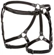 CALEXOTICS - EUPHORIA HARNAIS DE CUISSE DÉQUITATION CALEXOTICS - EUPHORIA HARNAIS DE CUISSE DÉQUITATION